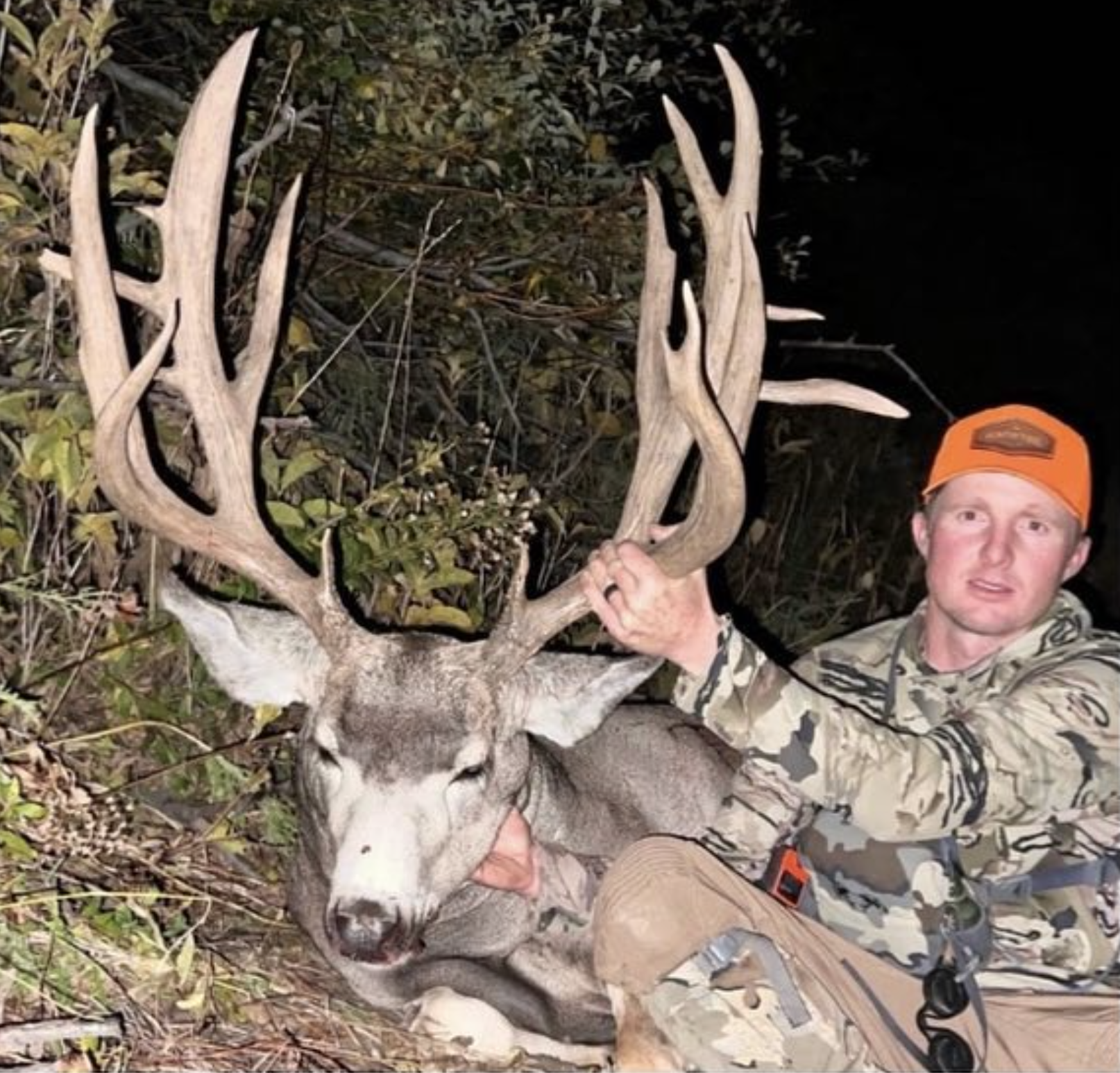 Baby Booners | Trophy Shot Baby Booners | Trophy Shot