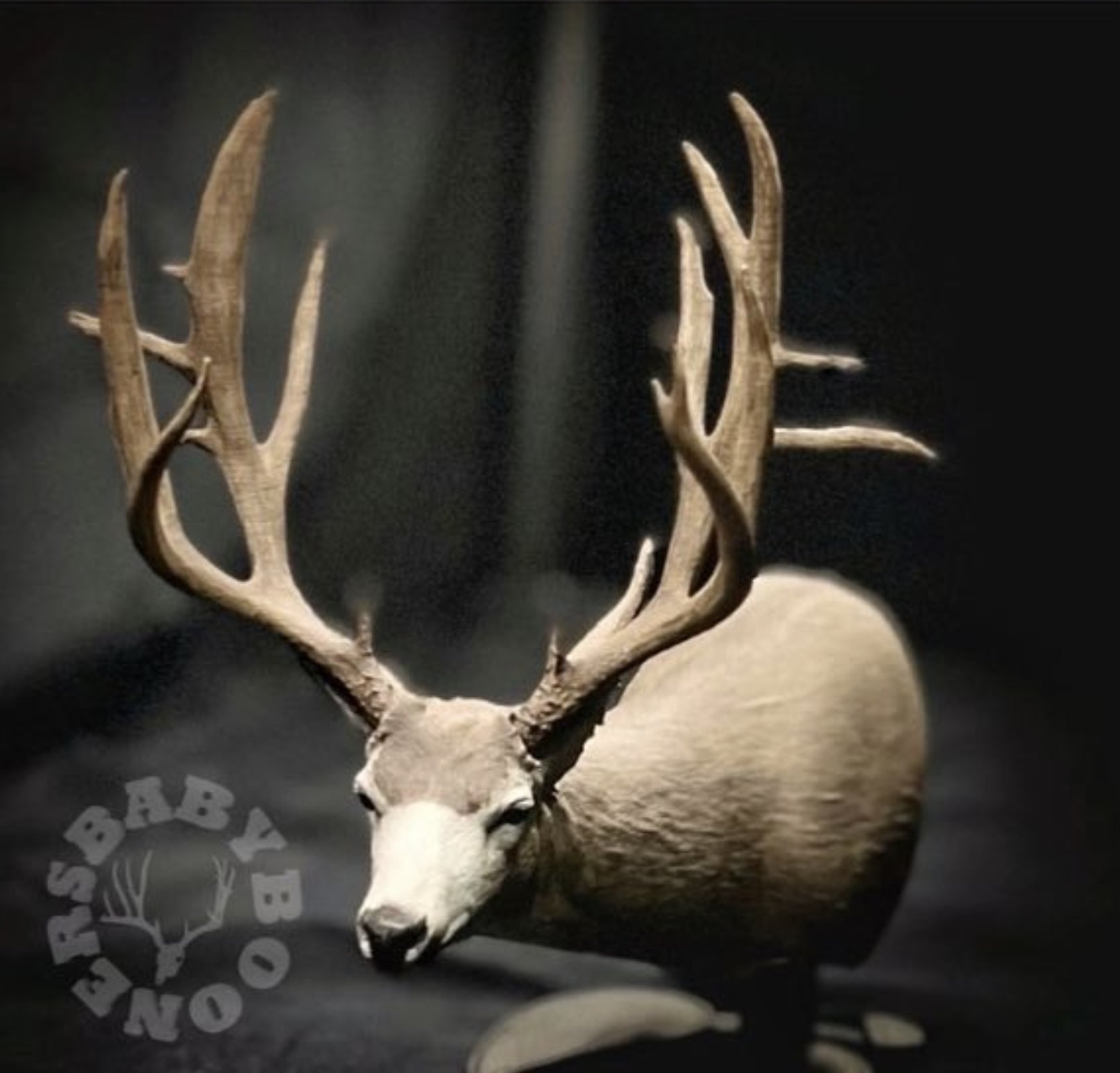 Screenshot 2024-02-05 at 9.18.37 PM Screenshot 2024-02-05 at 9.18.37 PM