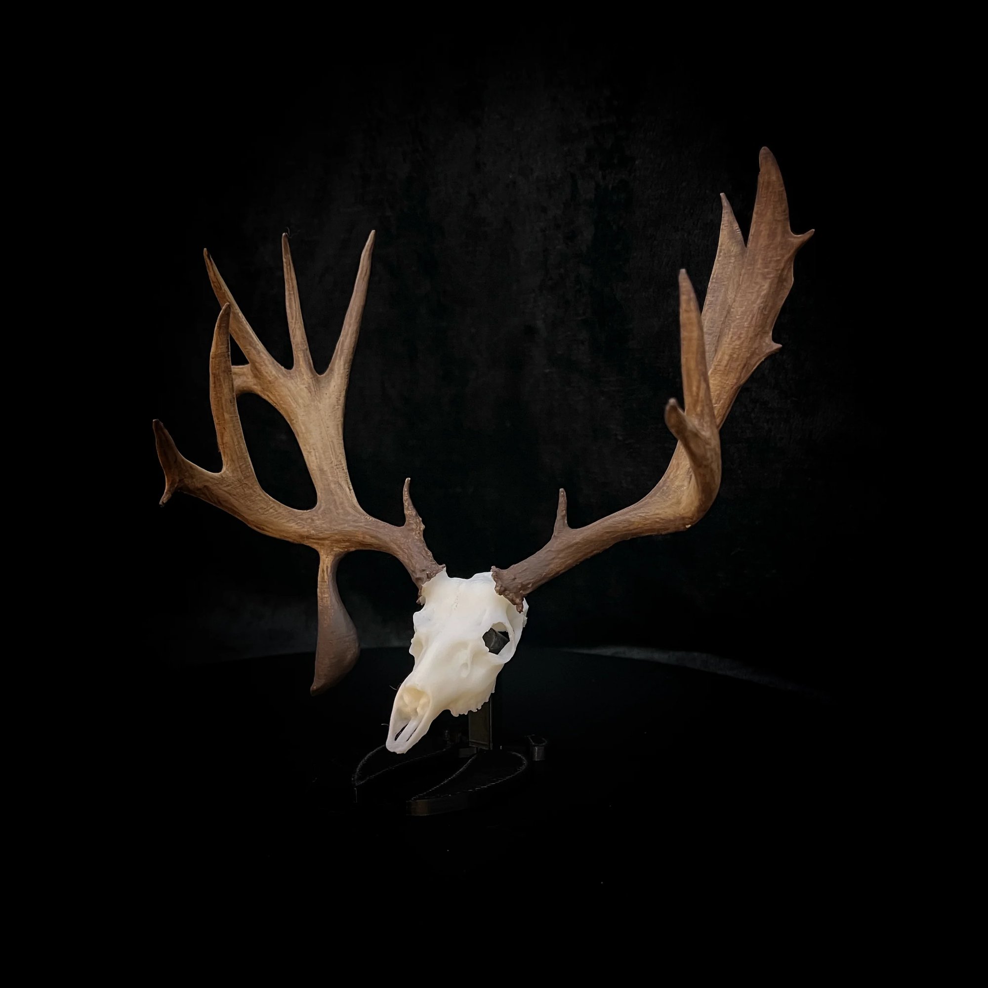 Baby Booners | The King